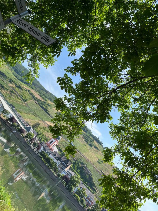 Ferienhaus Ankerpunkt Zell an der Mosel Eksteriør bilde